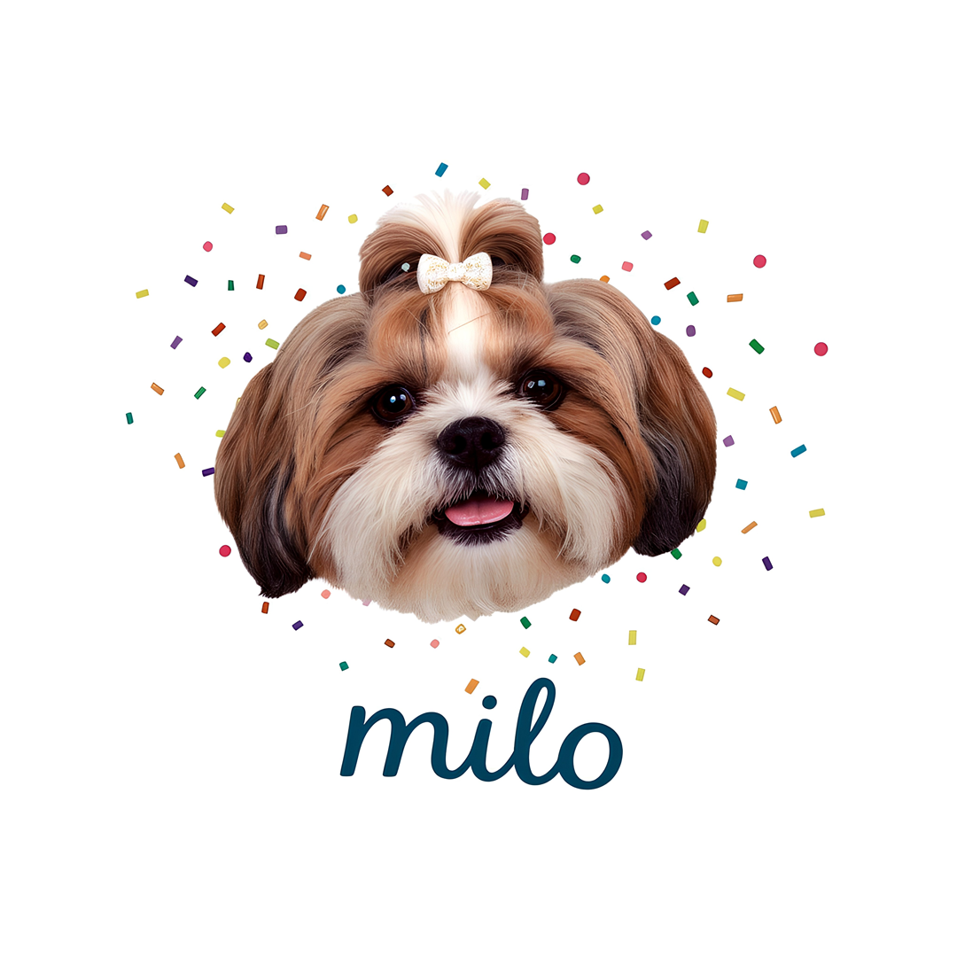 Costimisable blankets